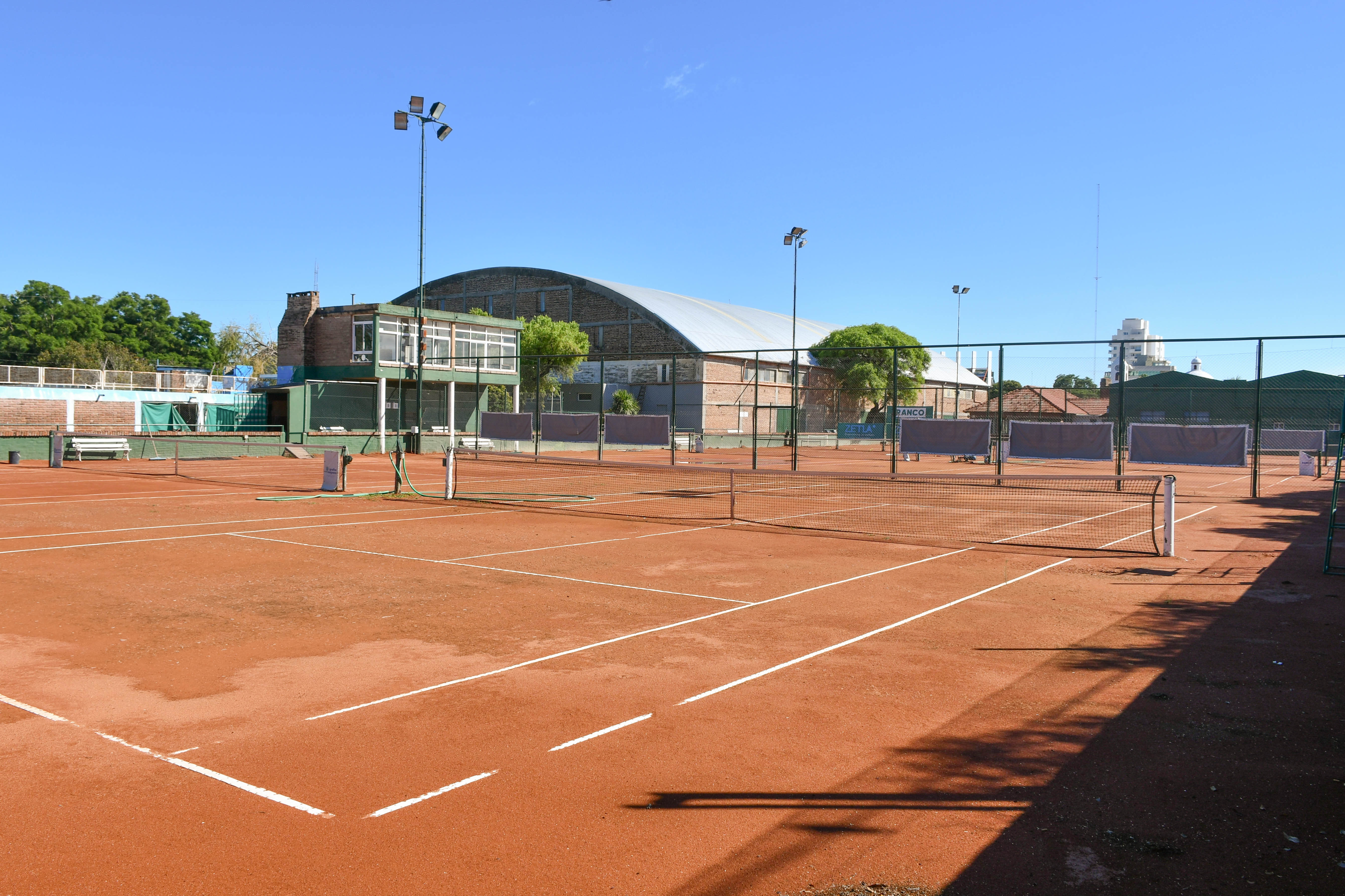 Tenis